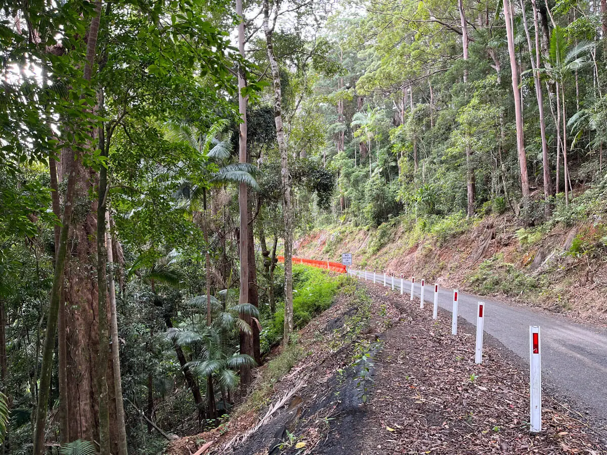 A narrow paved road winds through a dense forest with tall trees, capturing a tranquil moment of daily living. White posts line the roadside, while a red barrier blocks part of the road ahead amid lush green foliage.