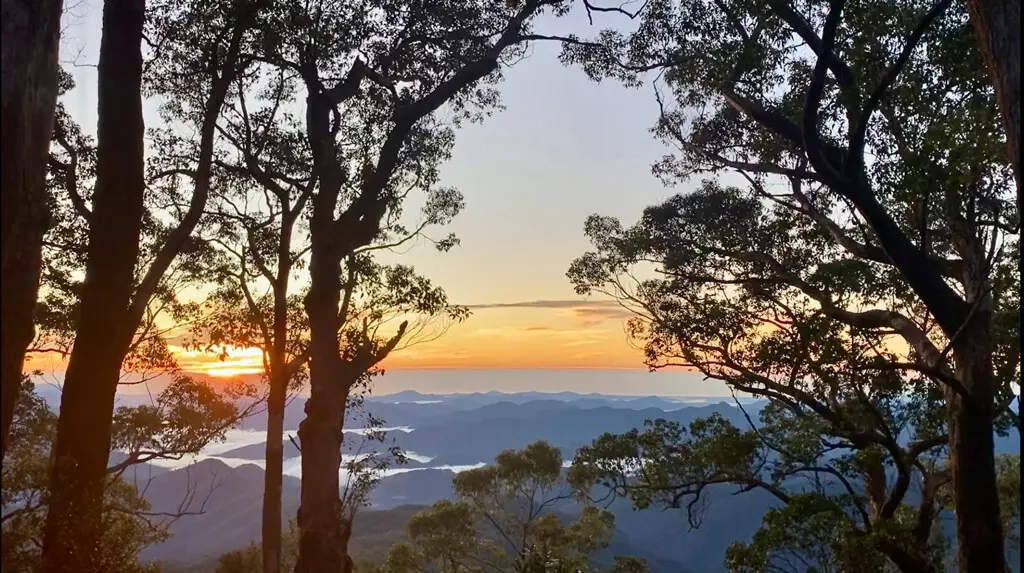 Sunrise viewed through tall trees, with the sun peeking over distant mountains and valleys. The sky is tinged with warm shades of orange and yellow, as silhouettes of trees frame a landscape that inspires hope and inclusion in disability support. Sunrise viewed through tall trees, with the sun peeking over distant mountains and valleys. The sky is tinged with warm shades of orange and yellow, as silhouettes of trees frame a landscape that inspires hope and inclusion in disability support.