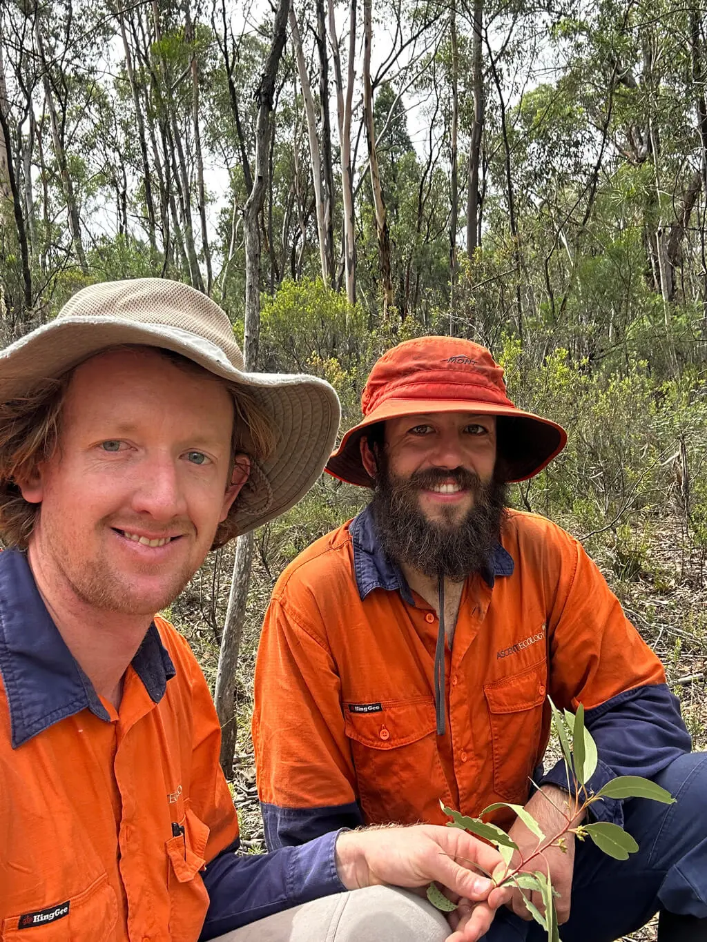 Two men wearing orange work shirts and wide-brimmed hats sit outdoors in a forested area, smiling at the camera. Involved in disability support, one holds a small plant as they enjoy nature among tall trees and green foliage. Two men wearing orange work shirts and wide-brimmed hats sit outdoors in a forested area, smiling at the camera. Involved in disability support, one holds a small plant as they enjoy nature among tall trees and green foliage.
