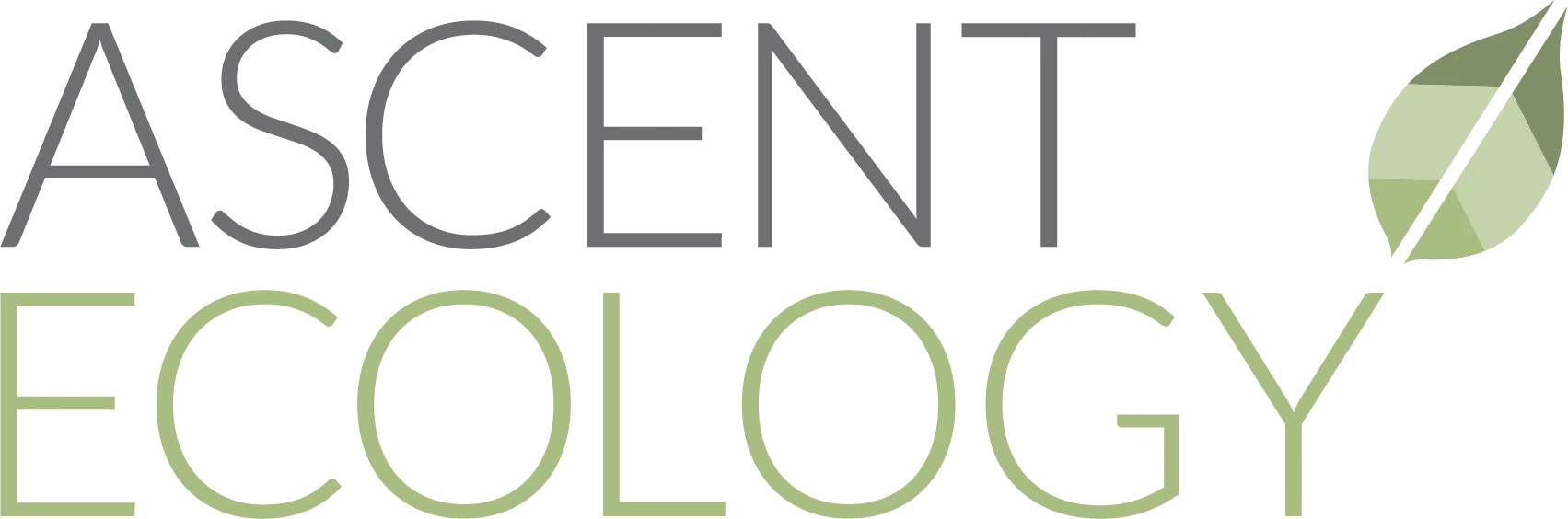 Logo for Ascent Ecology, featuring the words "ASCENT" in dark gray and "ECOLOGY" in light green. A stylized green leaf design appears to the right of the text.